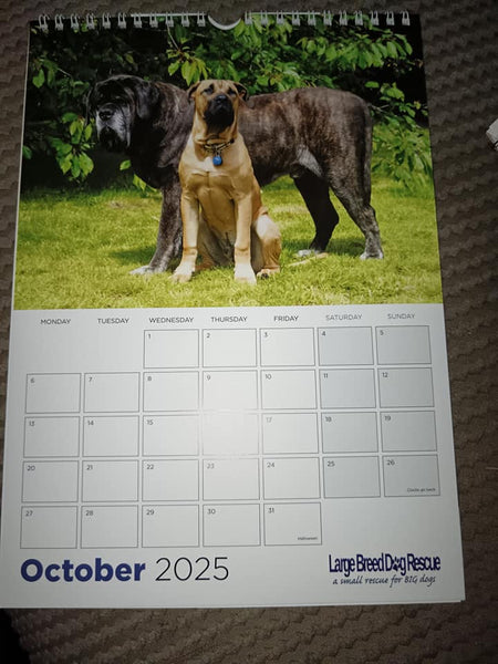 Large Breed Dog Rescue 2025 Calendar