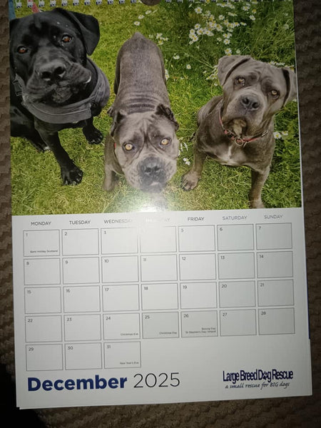 Large Breed Dog Rescue 2025 Calendar