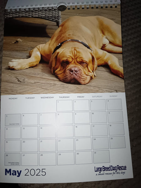 Large Breed Dog Rescue 2025 Calendar