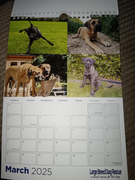 Large Breed Dog Rescue 2025 Calendar