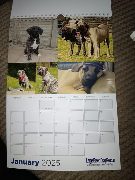 Large Breed Dog Rescue 2025 Calendar