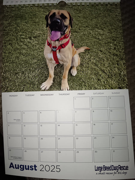 Large Breed Dog Rescue 2025 Calendar