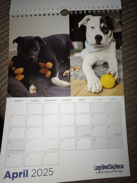 Large Breed Dog Rescue 2025 Calendar