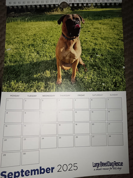 Large Breed Dog Rescue 2025 Calendar