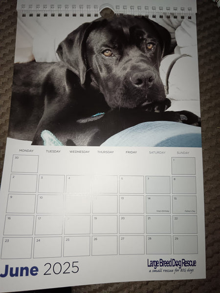 Large Breed Dog Rescue 2025 Calendar