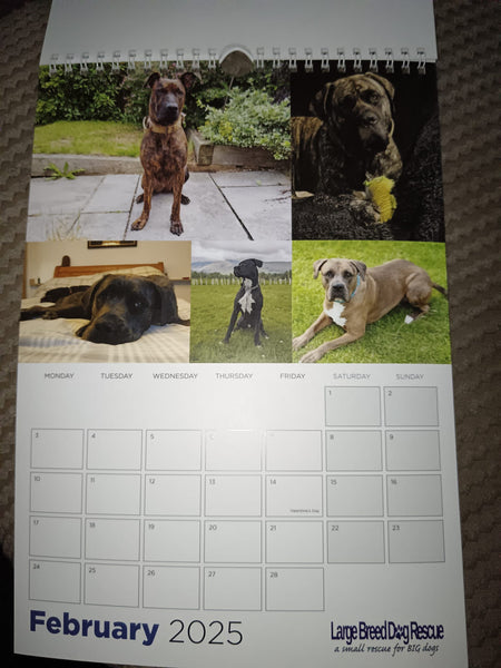 Large Breed Dog Rescue 2025 Calendar