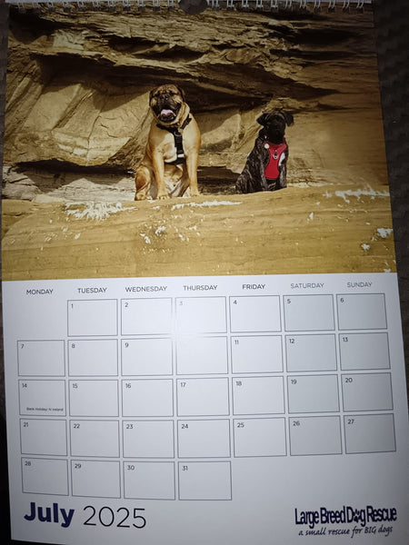 Large Breed Dog Rescue 2025 Calendar