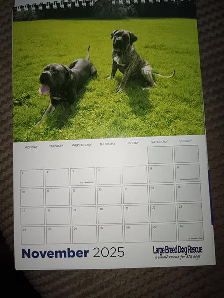 Large Breed Dog Rescue 2025 Calendar